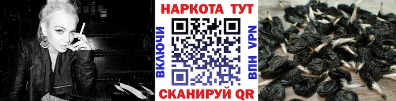 Купить наркотики цена Исилькуль Канабис АМФЕТАМИН ГАШ