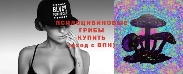 хмурый Алексин